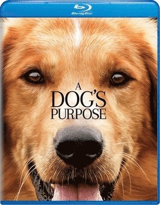 Cover for Dog's Purpose (Blu-ray) (2020)