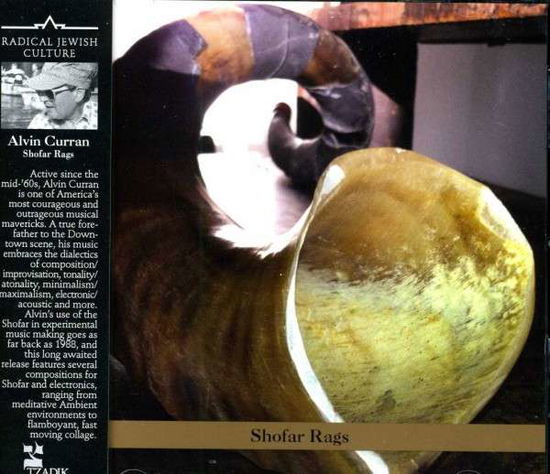 Shofar Rags - Alvin Curran - Muziek - TZADIK - 0702397817628 - 21 oktober 2013