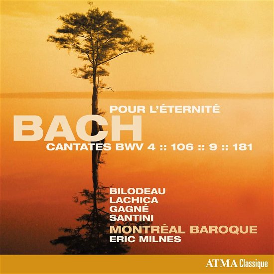 Cover for Johann Sebastian Bach · Cantatas L'eternite (CD) (2017)