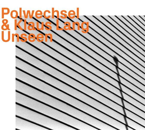 Unseen W/ Klaus Lang - Polwechsel - Music - EZZ-THETICS - 0752156101628 - May 30, 2020