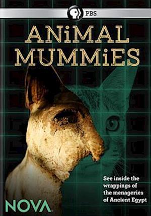 Nova: Animal Mummies (DVD) (2018)