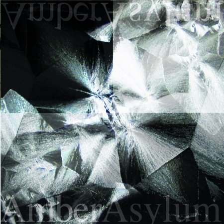Cover for Amber Asylum · Still Point (CD) (2016)