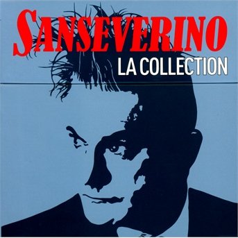 La Collection 2013 - Sanseverino - Musik - SONY MUSIC - 0888837365628 - 19 november 2013