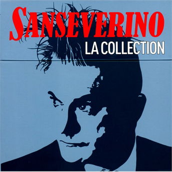 La Collection 2013 - Sanseverino - Musik - SONY MUSIC - 0888837365628 - 19. November 2013