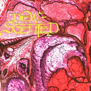 Cover for Dew Scented · Immortelle (CD) (1996)