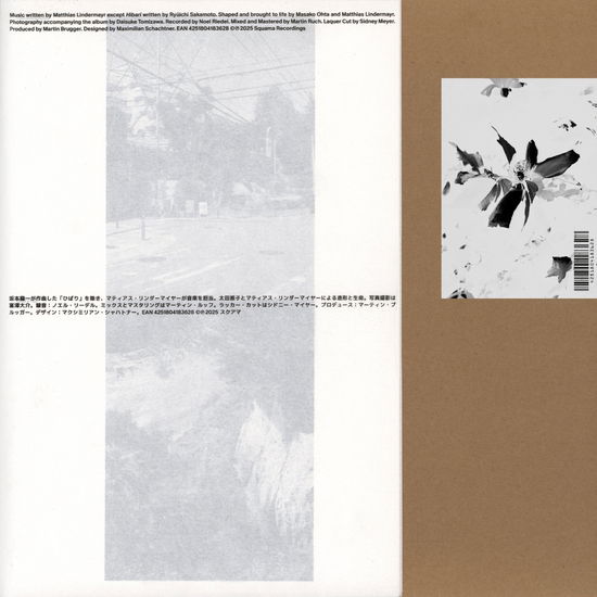 Cover for Masako Ohta &amp; Matthias Lindermayr · Nozomi (LP) (2025)