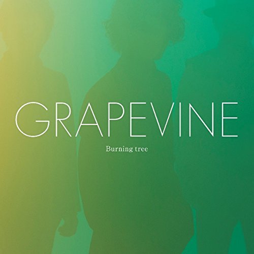 Cover for Grapevine · Burning Tree (CD) [Japan Import edition] (2015)