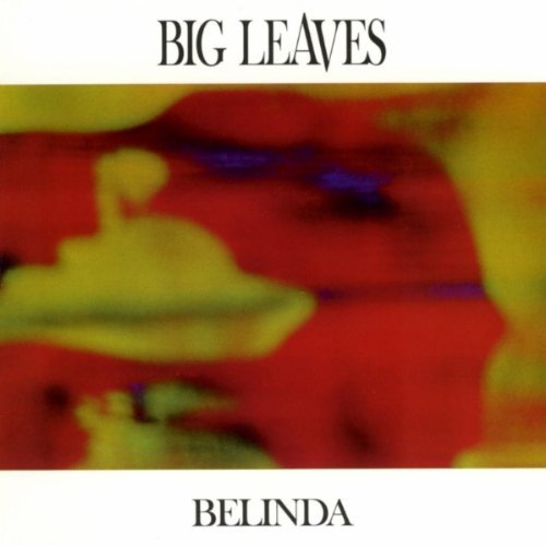 Cover for Big Leaves · Belinda (CD) (2006)