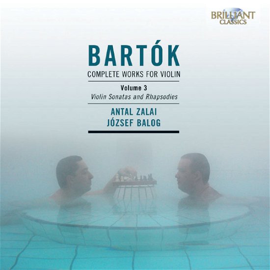 Cover for Antal Salai &amp; Jozsef Balog · Bartok / Complete Works Violin For (CD) (2013)