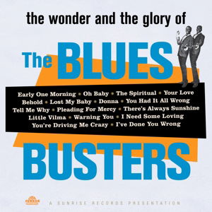 Cover for Blues Busters · Wonder &amp; Glory of the Blues Busters (LP) [180 gram edition] (2015)