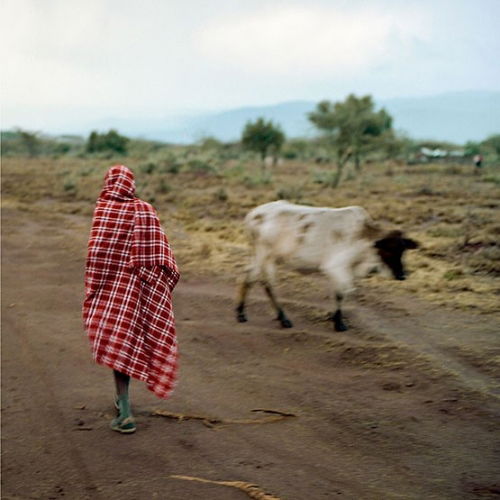 Cover for Stalawa · Stalawa In East Africa (RSD 2019) (LP) [Reissue edition] (2019)