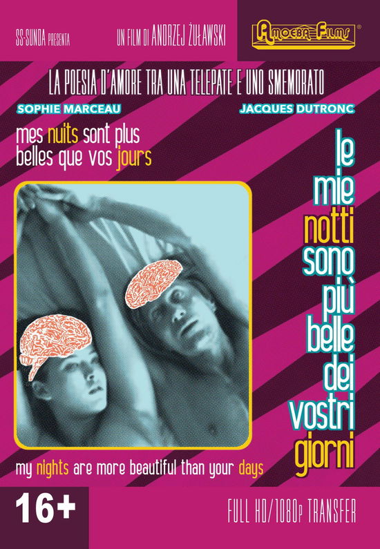 Cover for Mie Notti Sono Piu' Belle Dei (DVD) (2023)