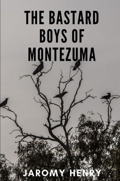 Cover for Jaromy Henry · Bastard Boys of Montezuma (Book) (2019)