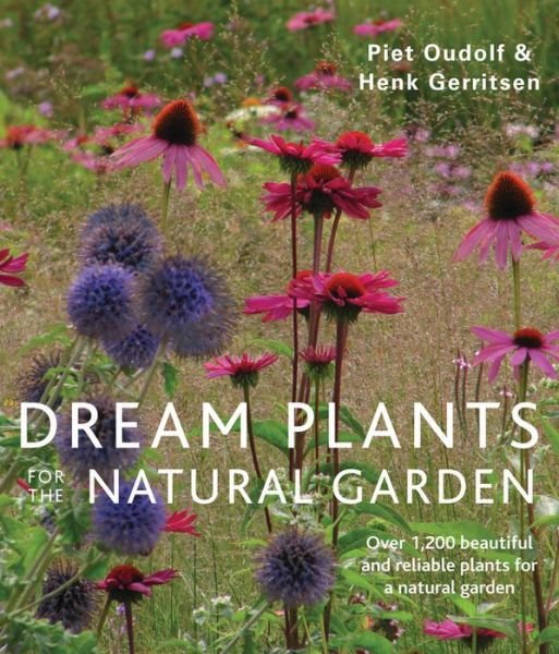 Cover for Piet Oudolf · Dream Plants for the Natural Garden (Paperback Bog) [Pb Reissue edition] (2013)