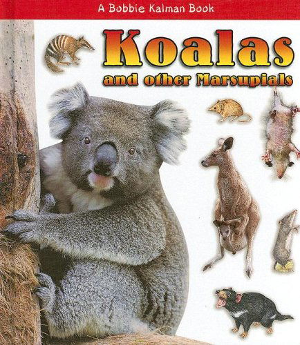 Cover for Robin Johnson · Koalas and Other Marsupials (What Kind of Animal is It?) (Hardcover Book) (2005)