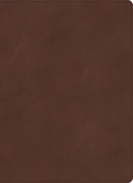 Cover for Holman Bible Publishers · KJV Single-Column Wide-Margin Bible, Brown LeatherTouch (Läderbok) (2022)