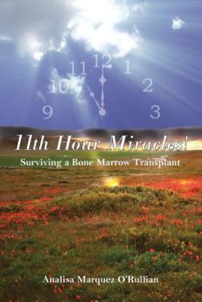 Cover for Analisa Marquez O'Rullian · 11th Hour Miracles! (Paperback Book) (2007)