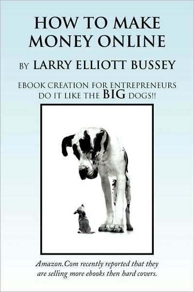 Cover for Larry Bussey · How to Make Money Online (Paperback Book) (2010)