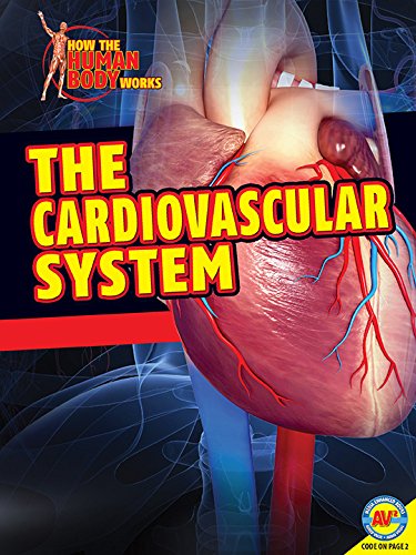 Cover for Simon Rose · The Cardiovascular System (How the Human Body Works) (Hardcover Book) (2014)