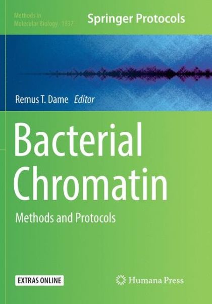 Cover for Bacterial Chromatin (Book) [Softcover reprint of the original 1st ed. 2018 edition] (2019)