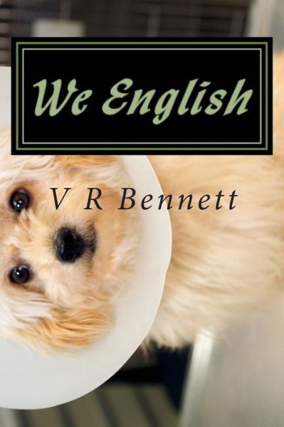 Cover for V R Bennett · We English: Stories Told 'the English Way' (Paperback Book) (2015)