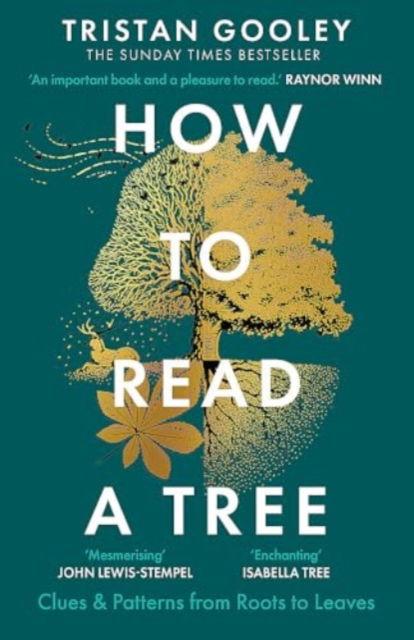 How to Read a Tree: Clues & Patterns from Roots to Leaves, The Sunday Times Bestseller - Tristan Gooley - Kirjat - Hodder & Stoughton - 9781529339628 - torstai 30. toukokuuta 2024