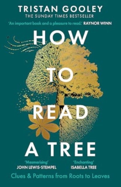Cover for Tristan Gooley · How to Read a Tree: Clues &amp; Patterns from Roots to Leaves, The Sunday Times Bestseller (Pocketbok) (2024)