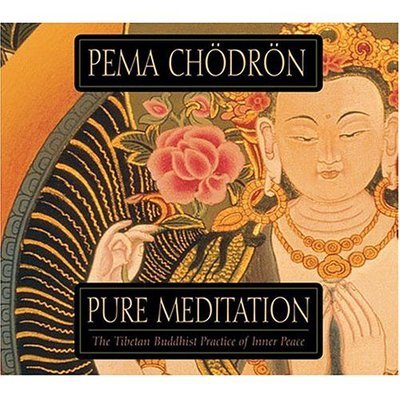 Cover for Pema Chodron · Pure Meditation (Hörbuch (CD)) (2004)