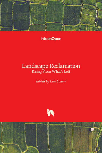 Cover for Luis Loures · Landscape Reclamation (Hardcover Book) (2020)