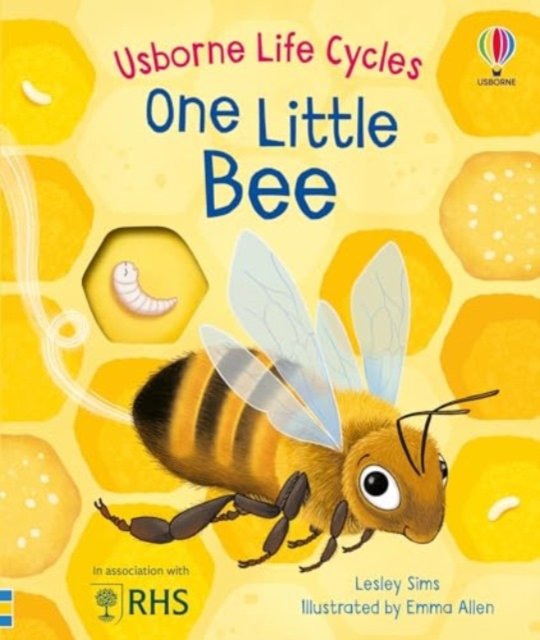 One Little Bee - Life Cycles - Lesley Sims - Books - Usborne Publishing Ltd - 9781805312628 - July 4, 2024