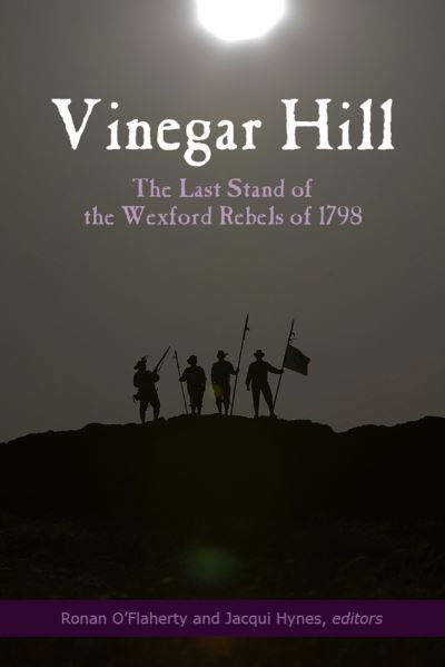 Cover for Vinegar Hill: The last stand of the Wexford Rebels of 1798 (Pocketbok) (2021)