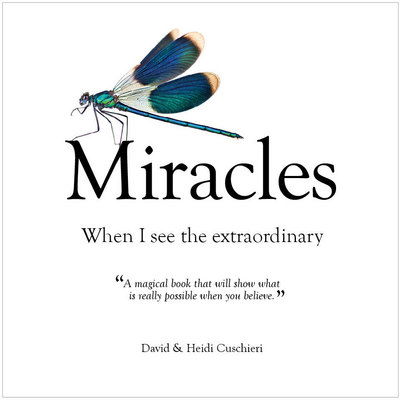 Cover for Heidi Cuschieri David Cuschieri · Miracles : When I See The Extraordinary (Hardcover Book) [UK Ed. edition] (2015)