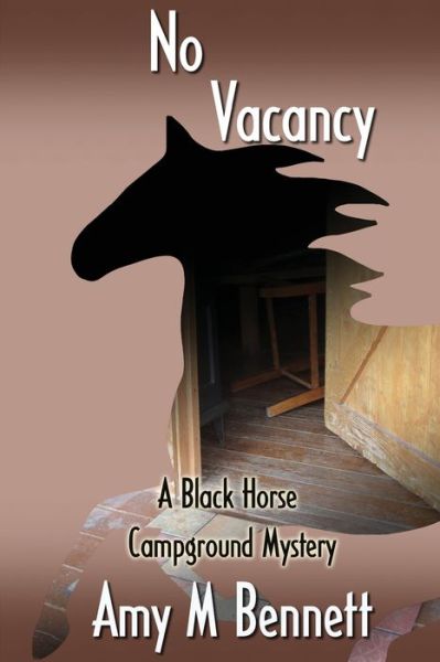 No Vacancy - Amy M Bennett - Books - Aakenbaaken & Kent - 9781938436628 - January 14, 2020