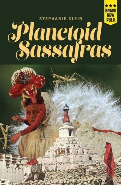Cover for Stephanie Klein · Planetoid Sassafras (Paperback Book) (2019)