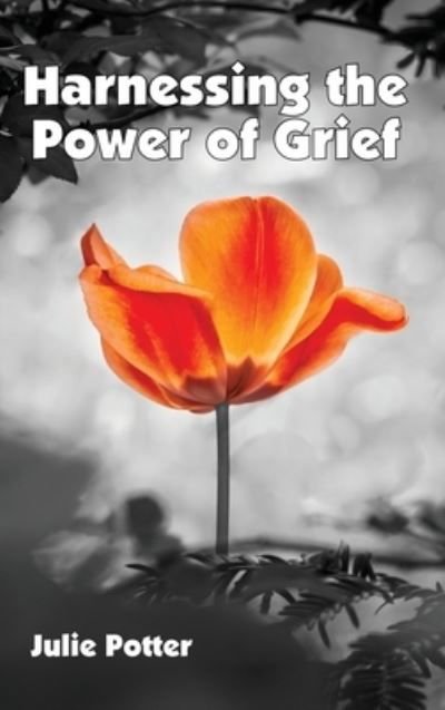 Cover for Julie Potter · Harnessing the Power of Grief (Hardcover Book) (2020)