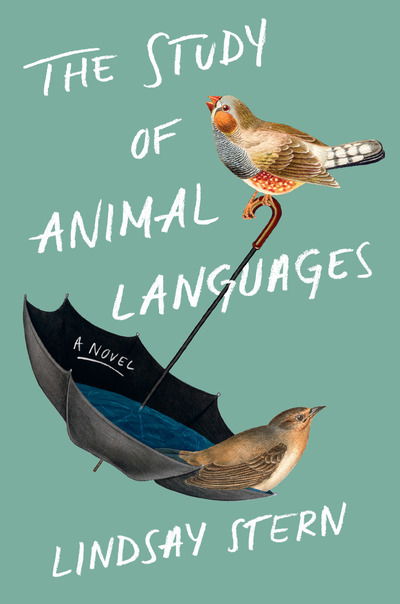 Cover for Lindsay Stern · The Study Of Animal Languages (Paperback Book) [International edition] (2019)