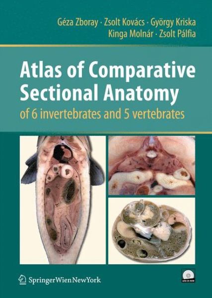 Cover for Geza Zboray · Atlas of Comparative Sectional Anatomy of 6 invertebrates and 5 vertebrates (Gebundenes Buch) (2010)