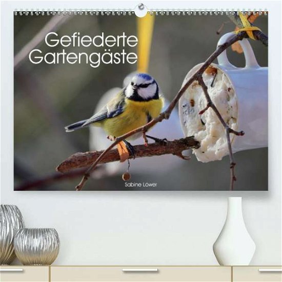 Gefiederte Gartengäste (Premium-K - Löwer - Bøger -  - 9783671290628 - 