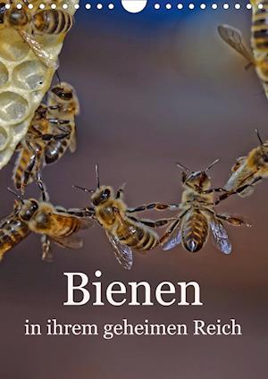 Cover for Bangert · Bienen in ihrem geheimen Reich (Book)