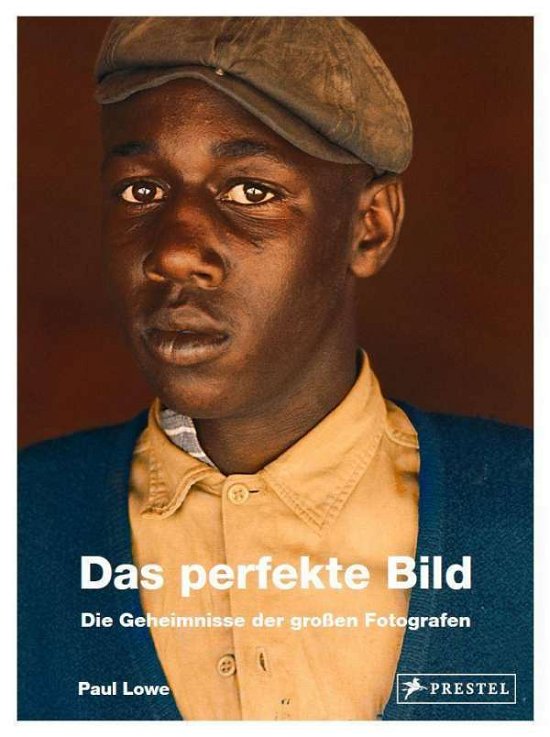 Cover for Lowe · Das perfekte Bild (Bok)