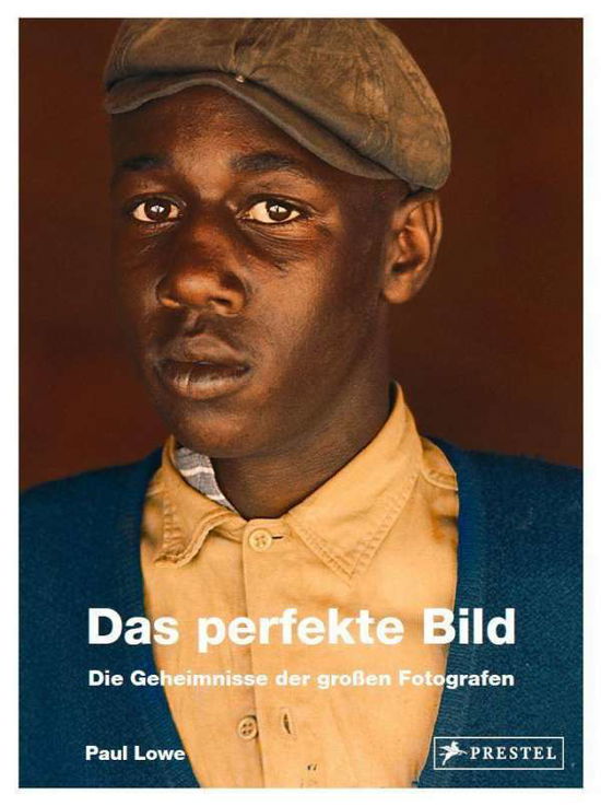 Cover for Lowe · Das perfekte Bild (Bog)