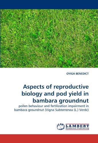 Cover for Oyiga Benedict · Aspects of Reproductive Biology and Pod Yield in Bambara Groundnut: Pollen Behaviour and Fertilization Impairment in Bambara Groundnut (Vigna Subterrenea (L.) Verdc) (Paperback Bog) (2010)