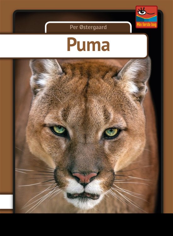 Cover for Per Østergaard · Min første bog: Puma (Hardcover Book) [1st edition] (2018)