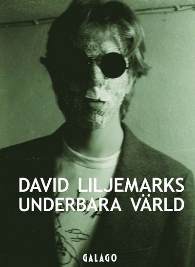 David Liljemarks underbara värld : verk i urval 1978-2018 - David Liljemark - Books - Ordfront Förlag - 9789170379628 - April 18, 2018