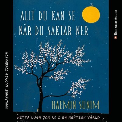 Cover for Haemin Sunim · Allt du kan se när du saktar ner : hitta lugn och ro i en hektisk värld (Lydbok (MP3)) (2018)
