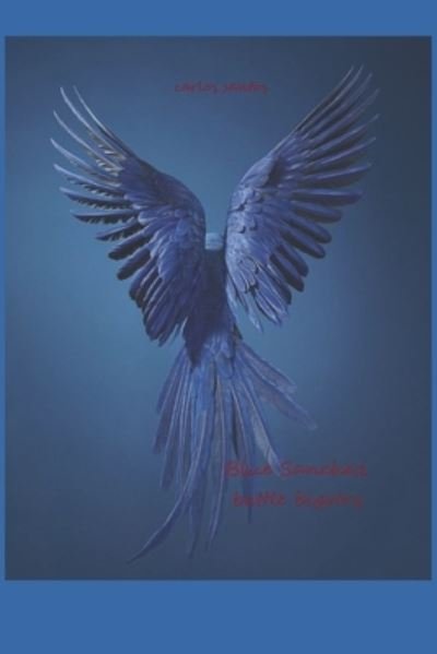 Cover for Carlos Santos · Blue Sanchez: battle bigotry (Paperback Book) (2020)