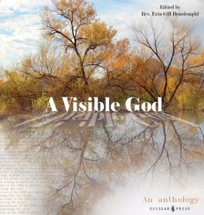 Cover for A Visible God (Hardcover Book) (2022)