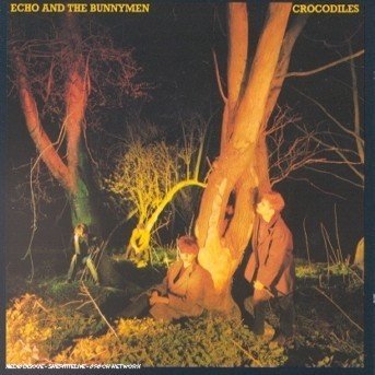 Echo & The Bunnymen - Crocodiles - Echo & the Bunnymen - Music - WARNER - 0022924231629 - May 17, 1988