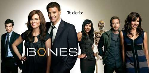 Bones: Season 4 - Bones: Season 4 - Movies - ACP10 (IMPORT) - 0024543597629 - October 6, 2009