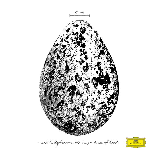 Cover for Snorri Hallgrímsson · The Importance of Birds (LP) (2025)